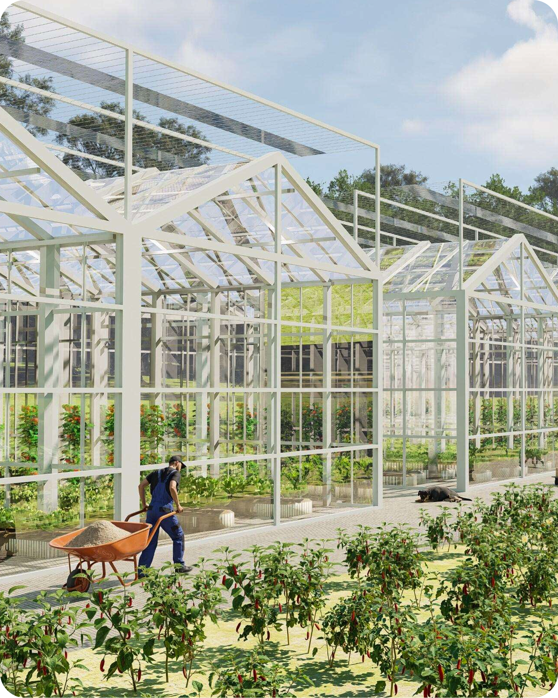 The Tapang Farm